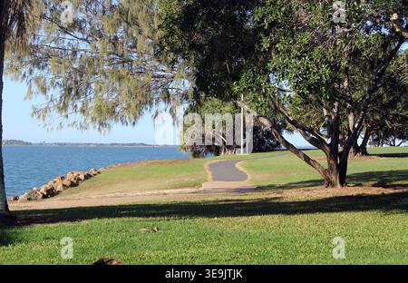 Panoramablick auf einen gepflasterten Wanderweg, der sich durch üppige grüne Rasenflächen und einheimische Bäume schlängelt, im Spinnaker Park in Gladstone, Queensland, Australien Stockfoto
