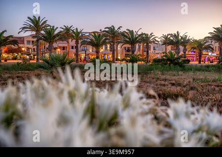 Rethymno, Kreta, Griechenland - 2. September 2025: Palmengesäumte Straße mit Restaurants und abendlicher Atmosphäre im beliebten Touristenviertel von Rethymno auf Kreta ist Stockfoto