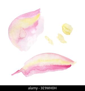 Blütenblätter in rosa Aquarellen mit weichen gelben Streifen, abstrakten Blumenfragmenten und Sonnenscheinflecken. Isolierte Abbildung handgezeichnet Stockfoto