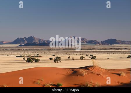 Rote Sanddünen und Wüstenebenen mit felsigen Bergen im Hintergrund, Sossusvlei, Namib-Naukluft-Nationalpark, Namibia Stockfoto