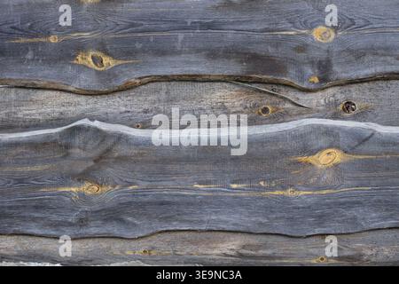 Rustikaler Hintergrund aus verwitterten grauen Holzdielen mit markanten Knoten und welligen Kanten. Natürliche Holzstruktur mit horizontalen Linien für Bio d Stockfoto