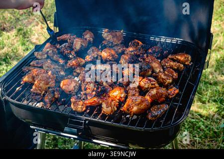 Scharfe Hähnchenschenkel und Flügel, die am Rauchfeuer in einem tragbaren Grill grillen. Stockfoto