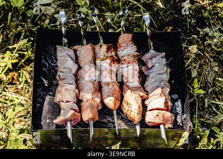 Verbrannte Schweinespieße auf Eisengrill, draußen, Nahaufnahme, über echter Holzkohle, selektiver Fokus Stockfoto