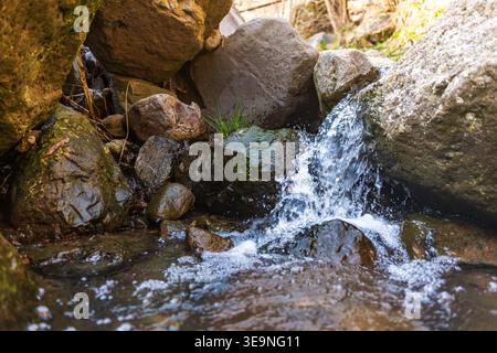 Ein kleiner Wasserfall fließt über moosige Felsen in einem Waldbach. Wasser spritzt um nasse Steine. Grünes Moos wächst auf Felsen in der Nähe von Wasser Stockfoto