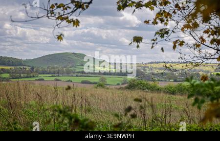 Gerahmter Blick über das Tal bis zum Cley Hill im Frühling in Wiltshire, Großbritannien Stockfoto