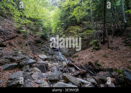Ein bezaubernder kleiner Wasserfall schlängelt sich durch Felsen und alte Bäume. Klares Wasser fließt in einem steinernen Bett, umgeben von üppigem Quellunterholz im Th Stockfoto