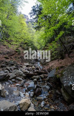 Ein bezaubernder kleiner Wasserfall schlängelt sich durch Felsen und alte Bäume. Klares Wasser fließt in einem steinernen Bett, umgeben von üppigem Quellunterholz im Th Stockfoto