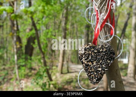 Ein herzförmiges Vogelfutter aus Samen hängt an einem Baumstamm in einer Waldumgebung Stockfoto