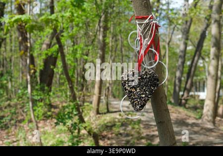 Ein herzförmiges Vogelfutter aus Samen hängt an einem Baum mit einem Waldweg im Hintergrund Stockfoto