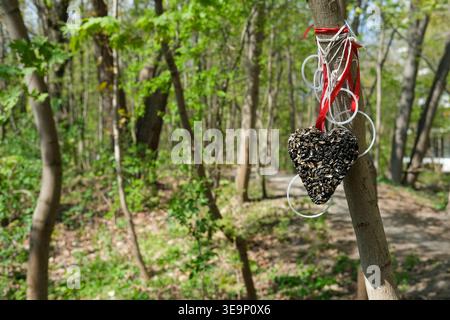 Ein herzförmiges Vogelfutter aus Samen ist an einem Baumstamm in einem Wald mit verschwommenem Hintergrund befestigt Stockfoto