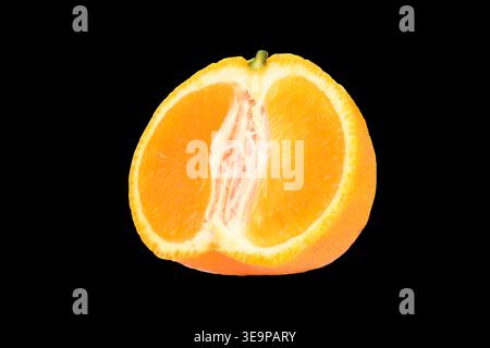 Mandarinen isoliert auf schwarzem Hintergrund, Makro Stockfoto