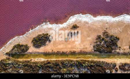 Von oben aus der Vogelperspektive auf die Salinen von Torrevieja, Spanien. Magentafarbenes Wasser steht im Kontrast zur weißen Salzkruste und trockenem Land mit Sträuchern. Ein grünes Chan Stockfoto