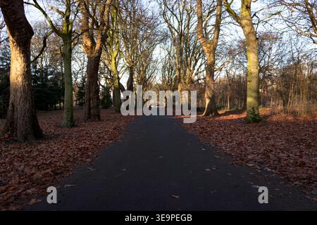 Ein ruhiger Pfad, umgeben von hohen, blattlosen Bäumen in einem Park in Manchester im Spätherbst. Der Boden ist mit orangebraunen Blättern bedeckt Stockfoto