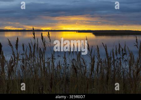 Silhouetten gegen glühenden Sonnenuntergang, die sich im ruhigen Küstenwasser spiegeln. Stockfoto