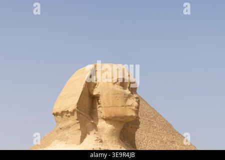 Die antike große Sphinx von Gizeh in Kairo, Ägypten, steht neben einer Pyramide unter einem klaren blauen Himmel und vermittelt Geschichte, Geheimnis und monumentale Wüstenbogen Stockfoto