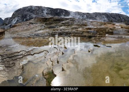 Yellowstone-Nationalpark Stockfoto