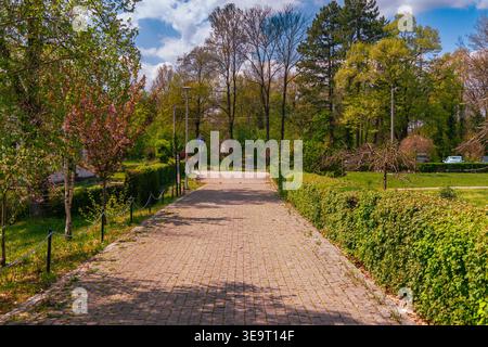 Sonniger Kopfsteinpflasterpfad Durch Den Üppigen Green Park Stockfoto