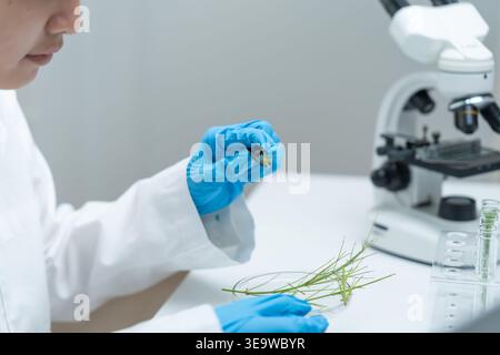 Umweltwissenschaften, Wissenschaftler, die Pflanzengenetik in Reagenzgläsern untersuchen, Labortests, Laborversuche an grünen Pflanzen, chemische Tests Stockfoto