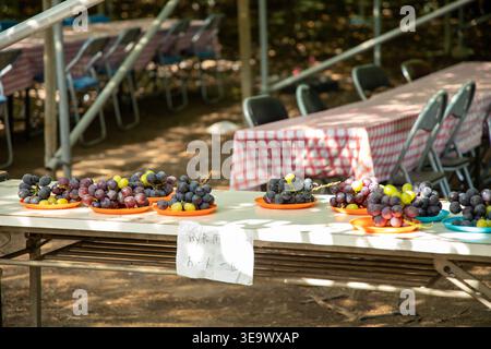 Verschiedene Yamanashi-Rebsorten werden auf Tellern an einem Weinberg-Verkostungstisch im Herbst präsentiert. Stockfoto
