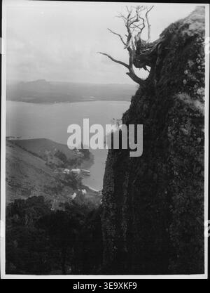 Dieses 1904 von Henry Winkelmann fotografierte Foto zeigt den Blick auf Whangaroa von der Kuppel von St. Paul Das Bild zeigt einen einzigartigen Winkel des Townships und der umgebenden Landschaft. Stockfoto