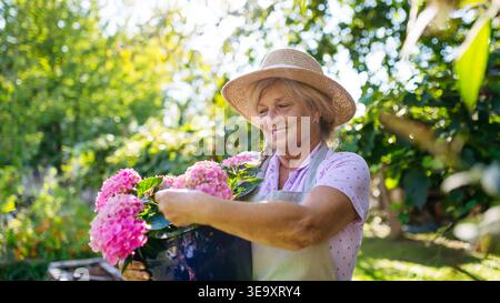 Lächelnde Seniorin mit einem Topf rosa Blumen im Garten. Stockfoto