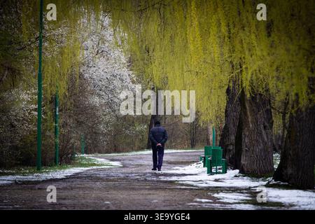 Unter hängenden Weiden schlendert eine Person entlang eines ruhigen, schneebedeckten Gehwegs, der mit Bänken und grünen Pfosten gesäumt ist. Die Szene fühlt sich ruhig und reflektierend an Stockfoto