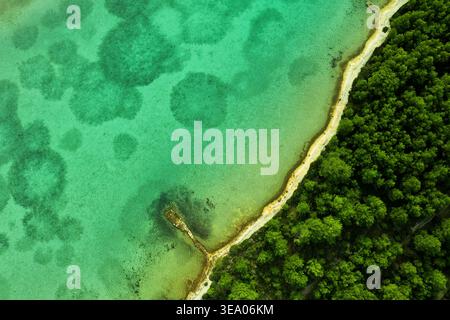 Aus der Vogelperspektive auf das türkisfarbene Meer trifft auf den lebhaften grünen Wald entlang der Küste, Omiš, Kreis Split-Dalmatien, Kroatien. Stockfoto