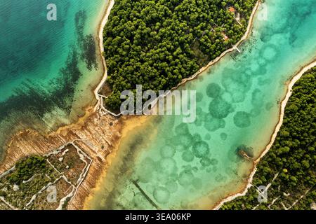 Aus der Vogelperspektive auf das pulsierende türkisfarbene Wasser trifft auf den üppigen grünen Wald und schafft einen atemberaubenden Kontrast der natürlichen Schönheit, Omiš, County Split-Dalmatien Stockfoto