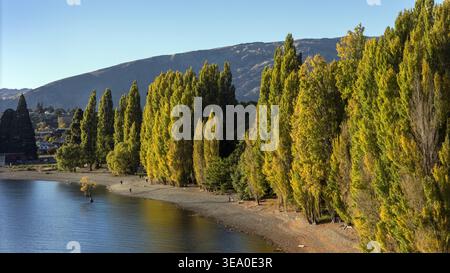Aus der Vogelperspektive sehen goldene Bäume, die lange Schatten am Ufer des Lake Wanaka werfen, mit Bergen, die sich in der Ferne erheben, Wanaka, Otago Region, Neuseeland Stockfoto