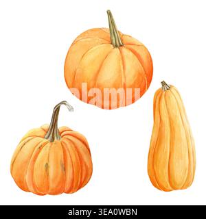 Aquarell handgezeichnetes Herbstset eines orangen Kürbisses. Ernte isoliertes Gemüse. Stockfoto