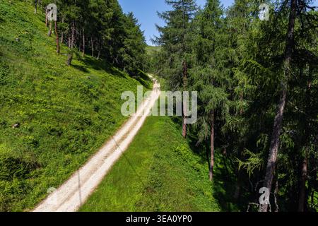 Berg-Schotterstraße-Kurve windet grüne Hügel durch dichten Nadelwald klares blaues Himmel Sonnenlicht tiefe Schatten. Friedliche Alpenlandschaft schmal Stockfoto