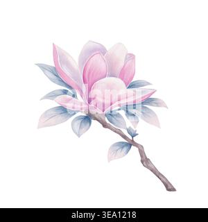 Magnolien-Blumenzweig-Zeichnung im Aquarellstil mit rosa Blüten und grünen Blättern, elegante Illustration für Hochzeitseinladungen, Grußkarten, Verpackung, Textil, Branding und Dekor Stockfoto