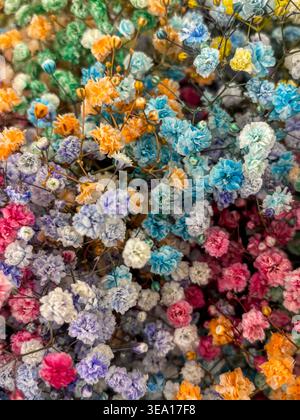 Lebendiger, getrockneter Atem Ihres Babys in bunten Pastelltönen. Weiche Blütenblätter in Rosa-, Blau-, Lila- und Orangentönen. Zarte Blüten bilden eine dichte, strukturierte Stockfoto