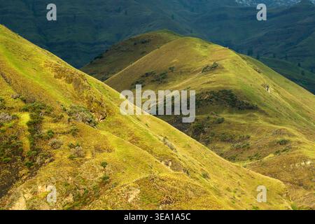 Hells Canyon bei Pittsburg Landing, Snake Wild and Scenic River, Hells Canyon National Recreation Area, Idaho Stockfoto