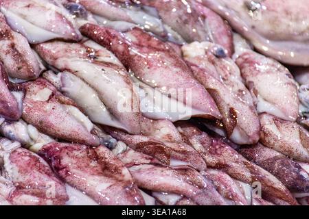 Großformat-Ausstellung frischer roher, violetter Tintenfisch, der auf einem Fischmarkt aufgehäuft wird. Stockfoto