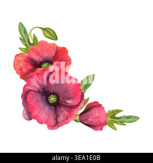 Rote Mohnblumen, isolierte Aquarellecke. Helle frische Blumen mit grünen Blättern, handgezeichnet. Bunte Pflanzen für Blumenkarten, Einladungen Stockfoto