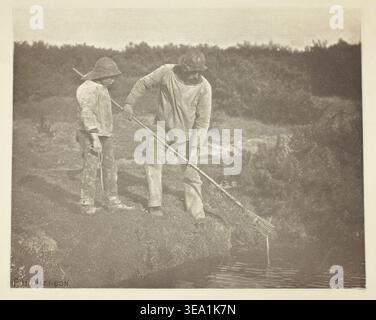Aal-Picking in Suffolk Waters von Peter Henry Emerson, ca. 1883/87, gedruckt 1888, zwei Arbeiter ernten Aale aus Flachwasser im ländlichen East Anglia mit langen Werkzeugen Stockfoto