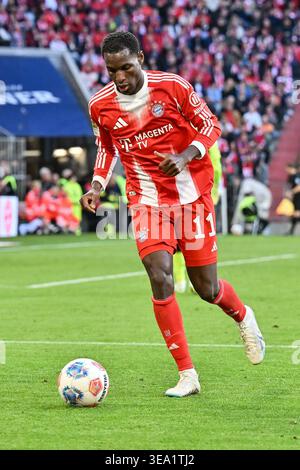 MÜNCHEN, DEUTSCHLAND - 19. APRIL: Mit Ball Nicolas JACKSON (FC Bayern München 11) während des Bundesliga-Spiels zwischen FC Bayern München und VfB Stuttgart am Spieltag 30 in der Allianz Arena/DFL VERBIETEN DIE BESTIMMUNGEN JEDE VERWENDUNG VON FOTOGRAFIEN ALS BILDSEQUENZEN UND/ODER QUASI-VIDEO Stockfoto