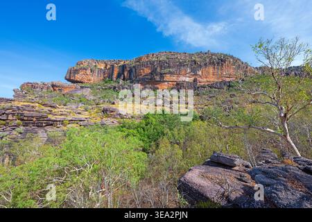 Spektakuläre Aussicht auf den Nourlangie Rock an einem sonnigen Tag im Kakadu National Park in Australien Stockfoto