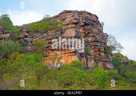 Dramatic Rocks, die aus dem Tropical Forest im Kakadu-Nationalpark in Australien entstehen Stockfoto