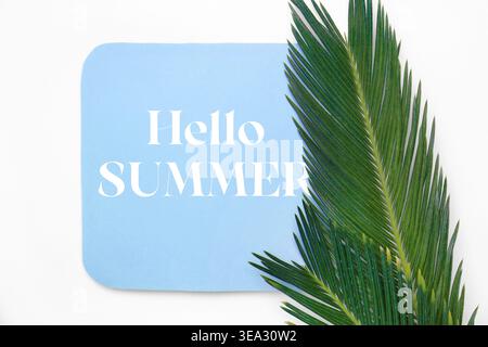 „Hello Summer“-Karte und grüne Palmblätter auf weißem Hintergrund, Draufsicht Stockfoto