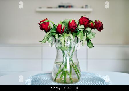Rote Rosen in einer Glasvase auf einem Tisch gegen eine helle Wand. Das Konzept von verblasster Schönheit, Traurigkeit oder Ende der Romantik. Stockfoto