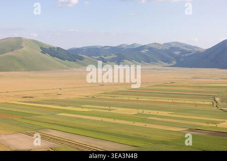 Aus der Vogelperspektive auf die große Ebene von Castelluccio mit farbenfrohen landwirtschaftlichen Feldern, Heuballen und sanften grünen Bergen unter einem klaren Himmel CASTELLUCCI Stockfoto
