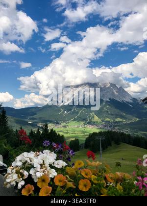 Malerische Alpenlandschaft mit bunten Wildblumen im Vordergrund und einer grasbewachsenen Skipiste im Sommer, Dorftal und Zugspitze. Stockfoto