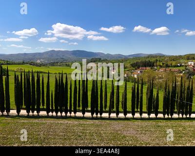 Aus der Vogelperspektive der Balzenlandschaft mit einer Reihe von Zypressen entlang einer Landstraße und sanften grünen Hügeln unter einem blauen Himmel Reggello, Toskana, Italien. Stockfoto