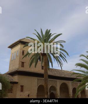 Hohe Dattelpalme vor dem historischen Turm des Nasriden Palastes und Bogengang mit dekorativem Stuckfries, Alhambra Komplex, Granada Stockfoto