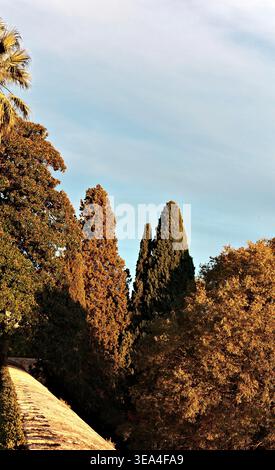 Hohe Zypressen und herbstliche Laubwälder, die sich im warmen goldenen Stundenlicht über der alten Alhambra erheben, Granada, Andalusien, Spanien. Stockfoto