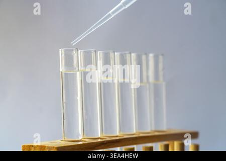 Pipetten zum Tropfen klarer Flüssigkeit in Glasröhrchen, die in einem Holzgestell in einem Labor angeordnet sind. Stockfoto