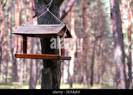 Hölzerne Vogelfutteranlage hängt an Baumstamm im Kiefernwald mit verschwommenem natürlichem Hintergrund Stockfoto