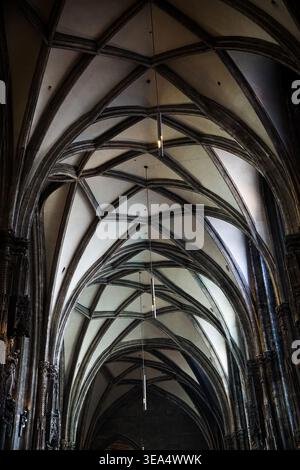Gotische Kathedraldecke mit Rippengewölben und Hängelampen im historischen Kircheninneren in Wien Stockfoto